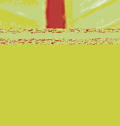    Adobe PDF