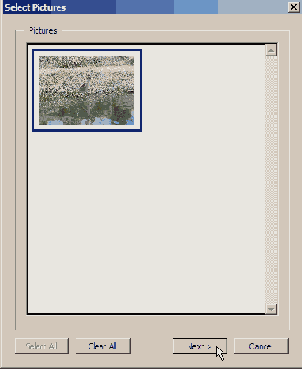   Layout Sizes 