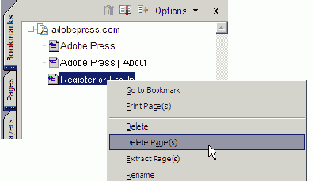  PDF 