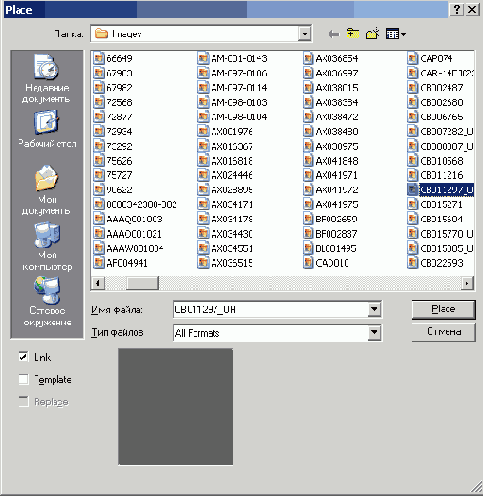    Illustrator